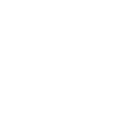 دليل silver sagittarius